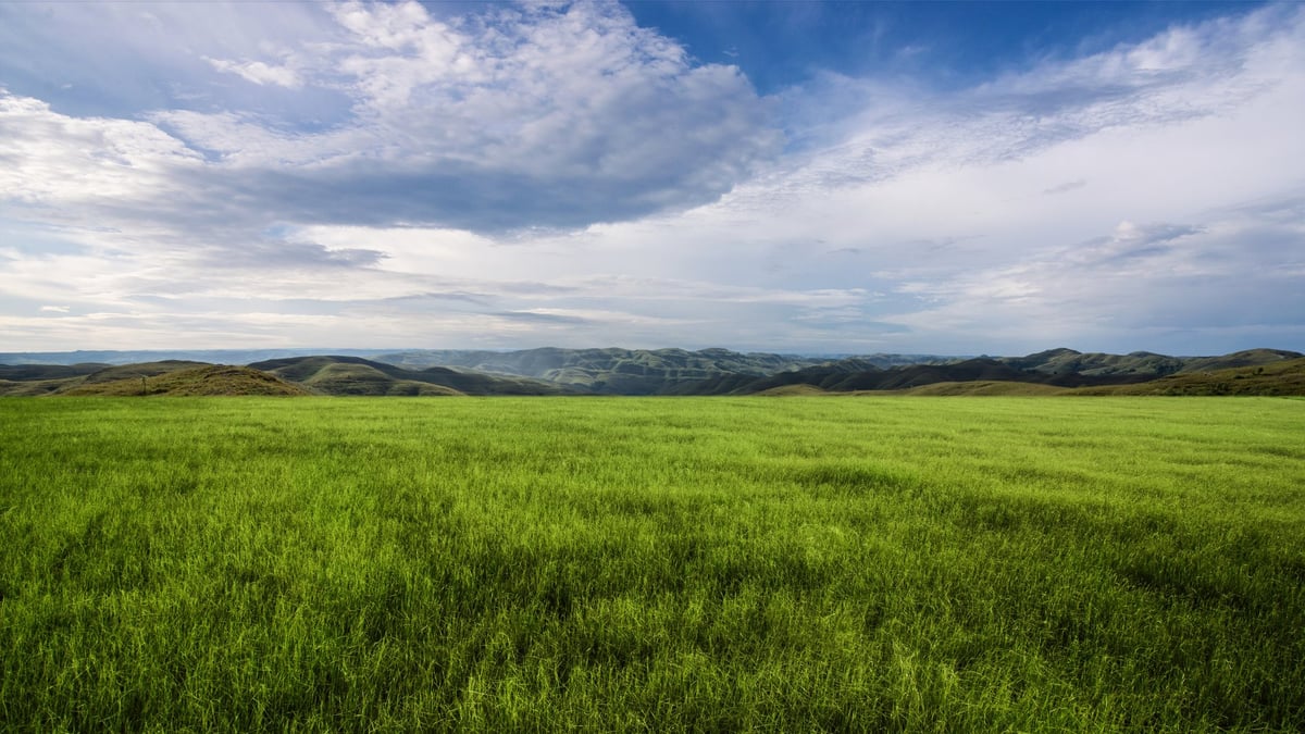 Open meadow field Texas