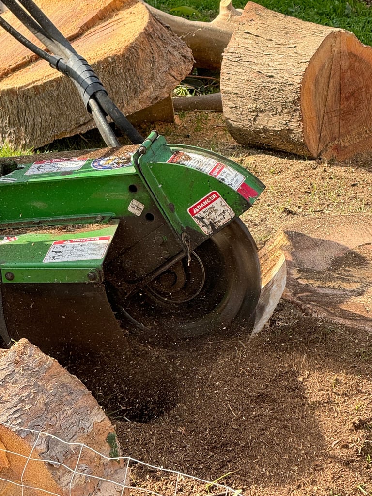A close-up shot of a stump grinder shows the sharp, spinning blade just inches from slicing into the weathered stump.